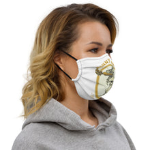 Load image into Gallery viewer, Premium face mask